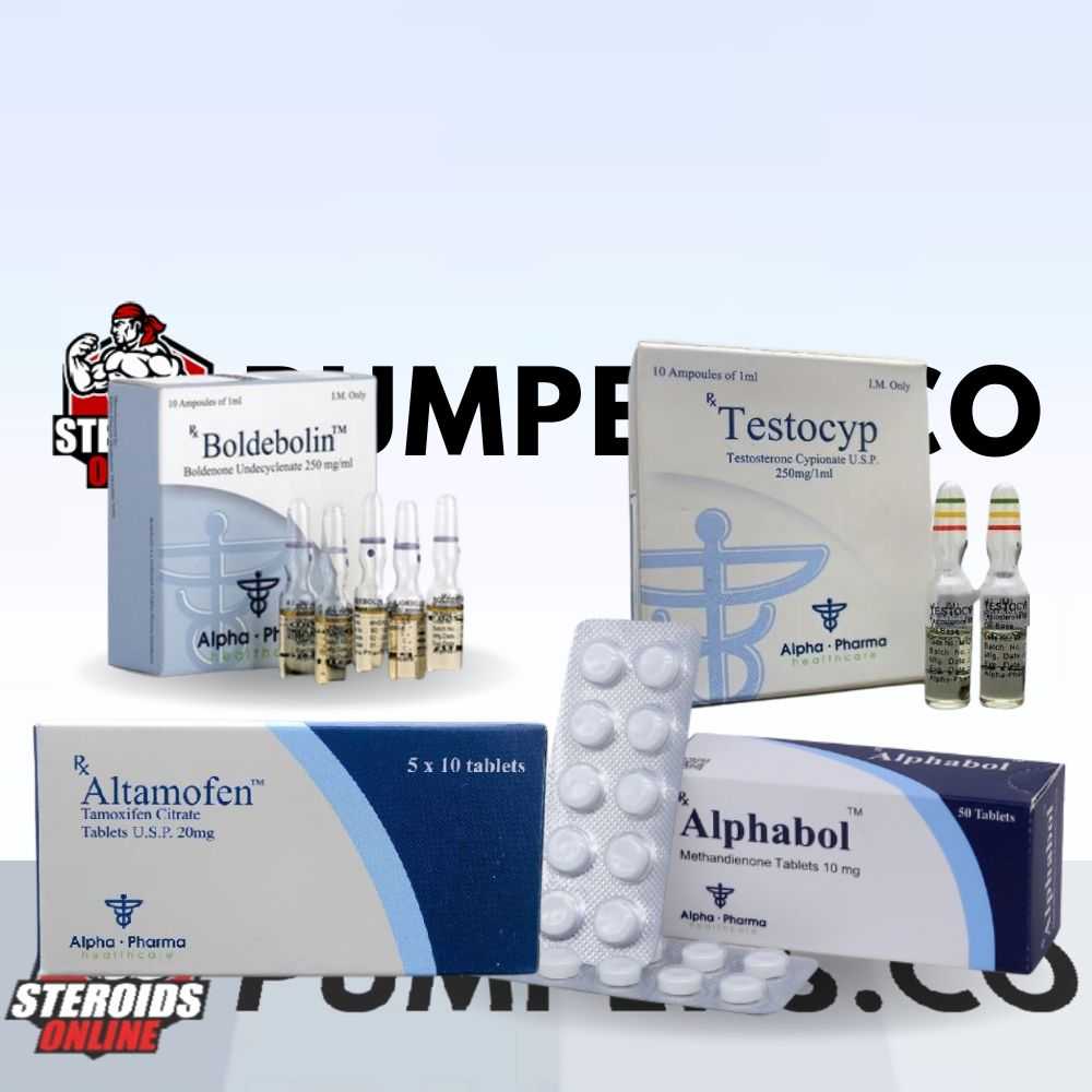 Mass Builder #2 Cycle